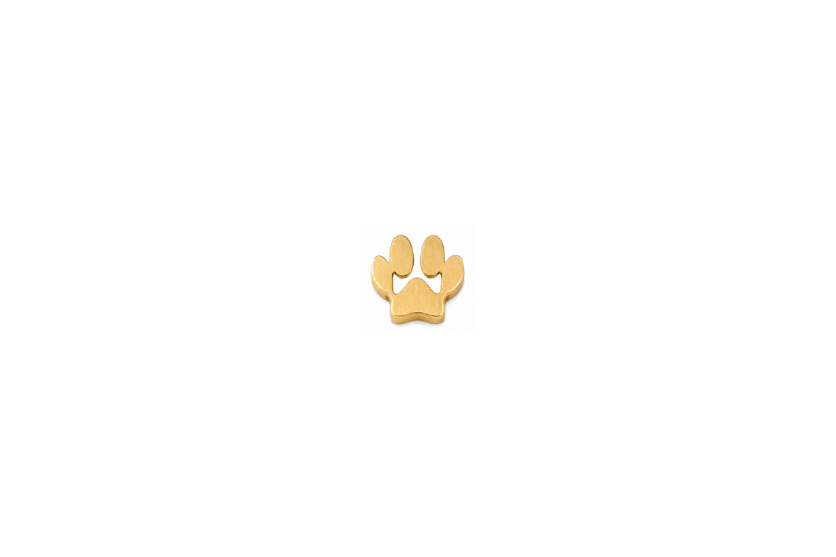 Paw Charm Gold