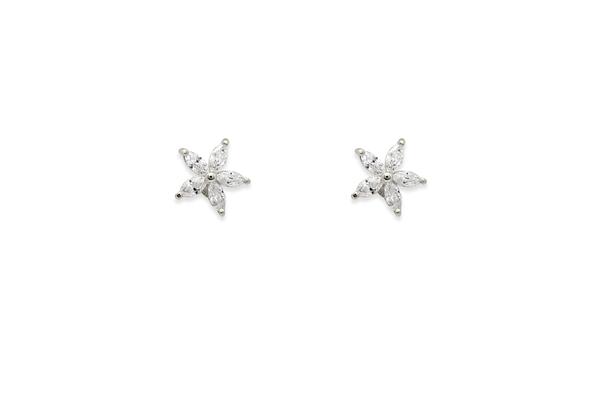 Binnie Sterling Silver Earrings