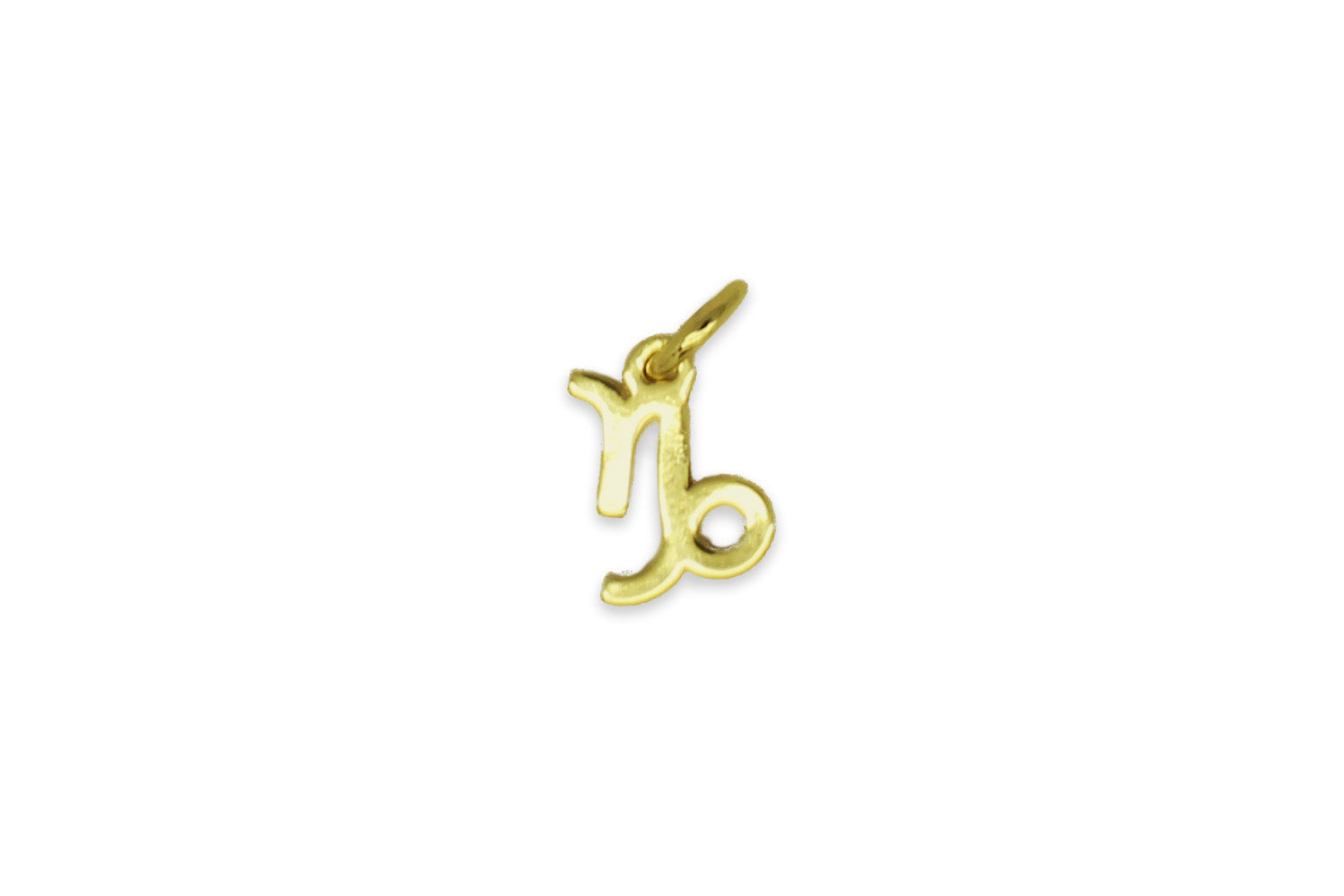 Capricorn Zodiac Gold Necklace Charm