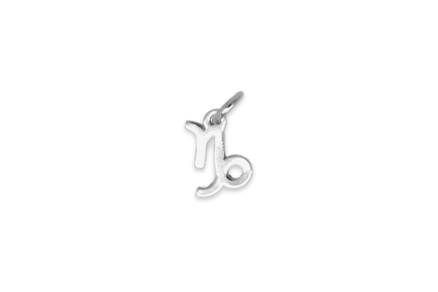 Capricorn Zodiac Silver Necklace Charm