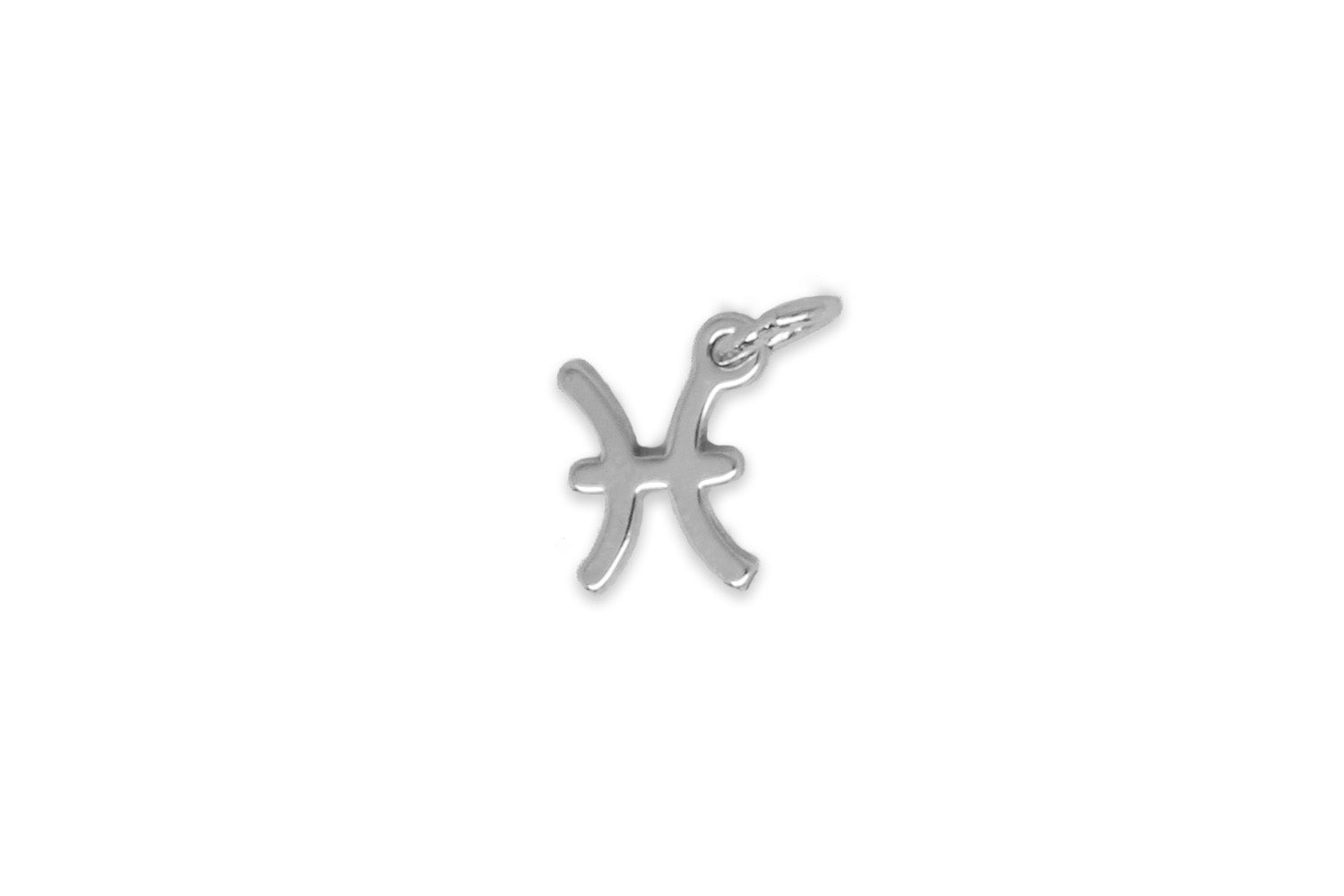 Pisces Zodiac Silver Necklace Charm