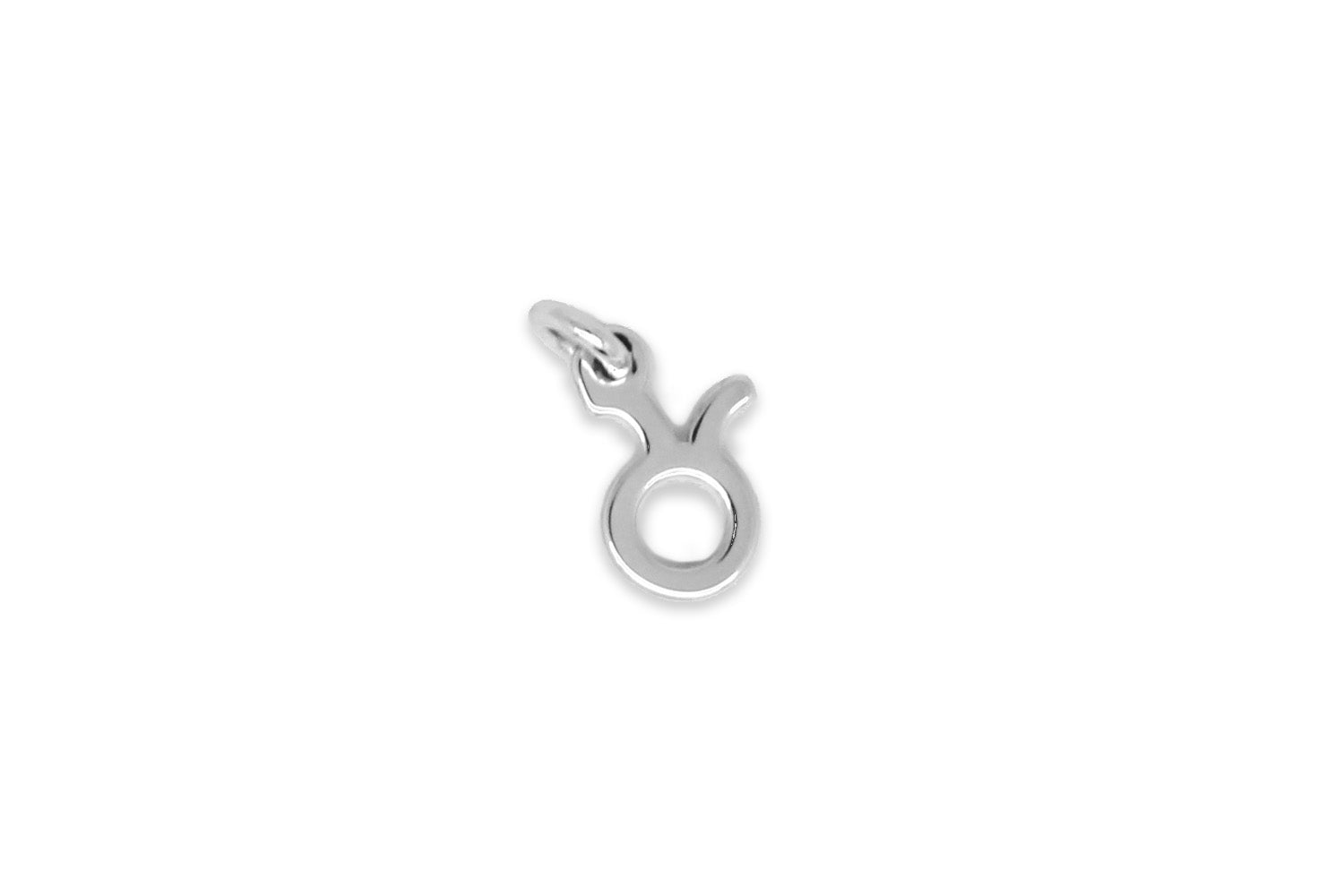 Taurus Zodiac Silver Necklace Charm